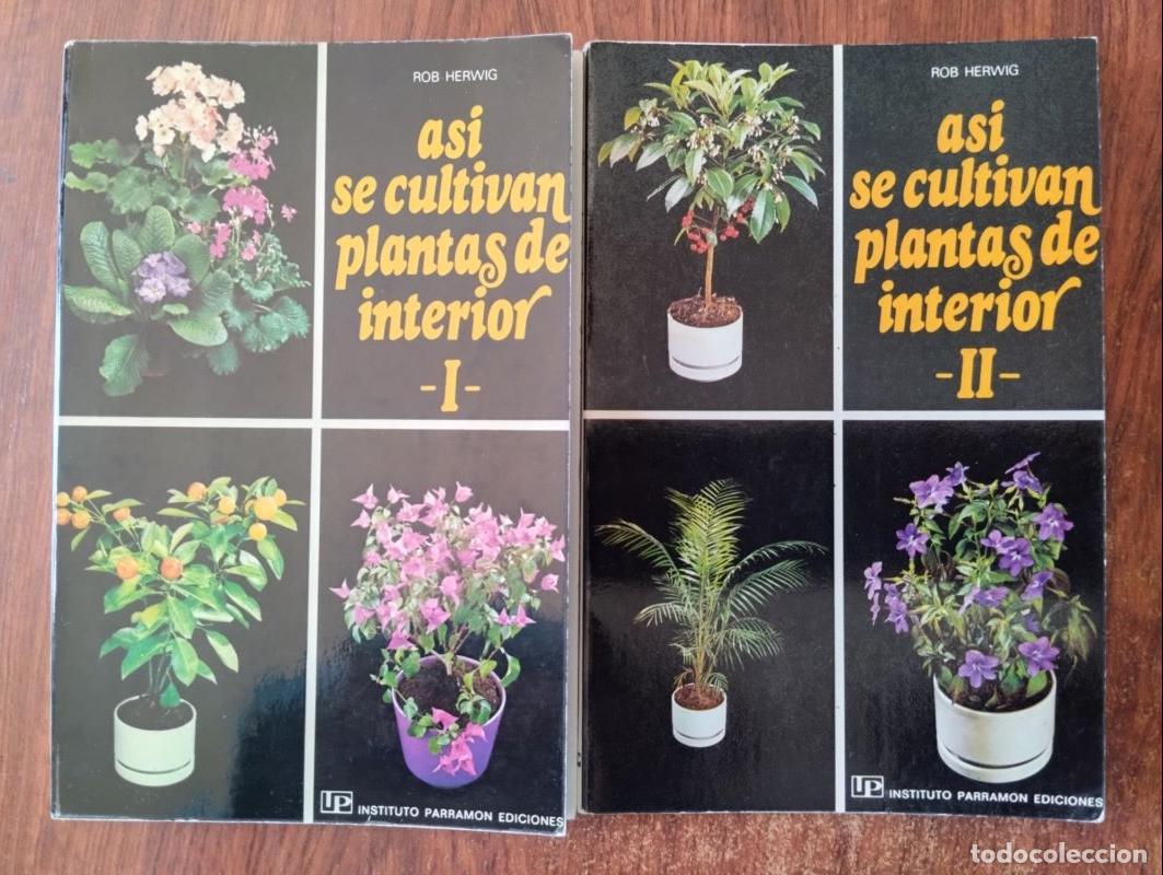 Libros: As&iacute; se cultivan plantas de interior I y II - Rob Herwig - Foto 1