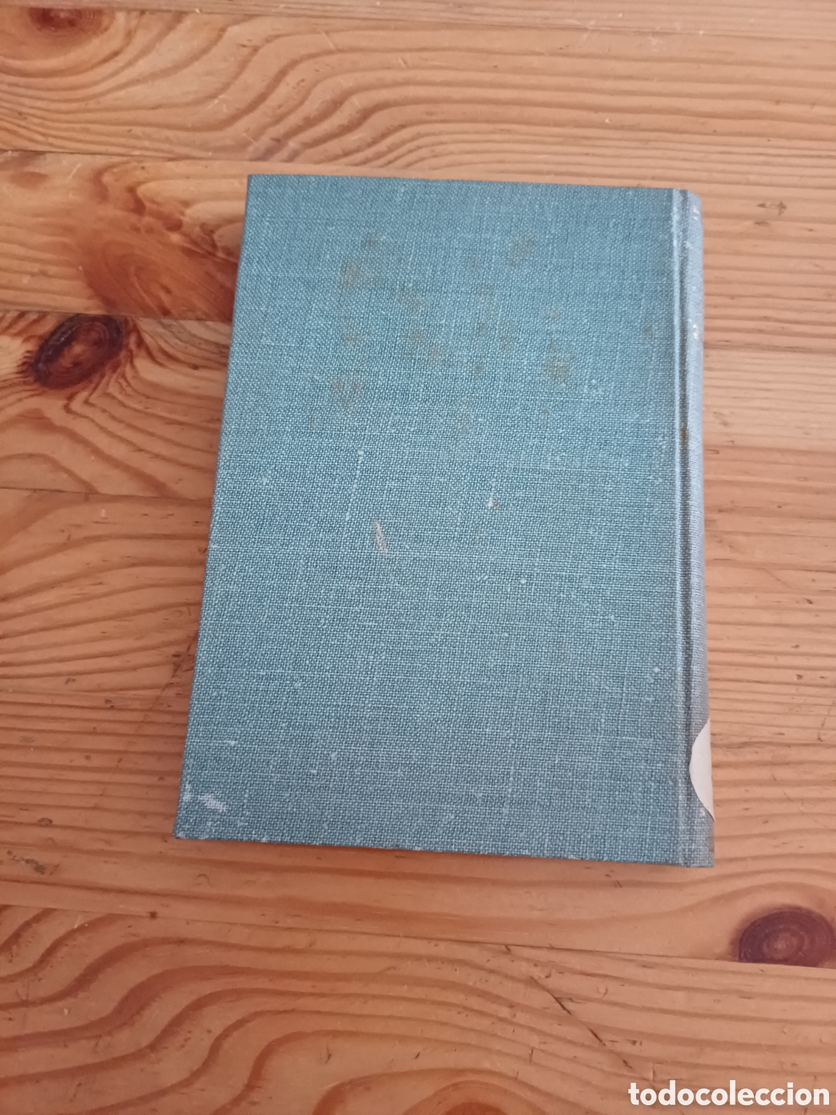 Libros: Lhome de les fires i altres contes Celia Su&ntilde;ol Editorial Selecta - Foto 4
