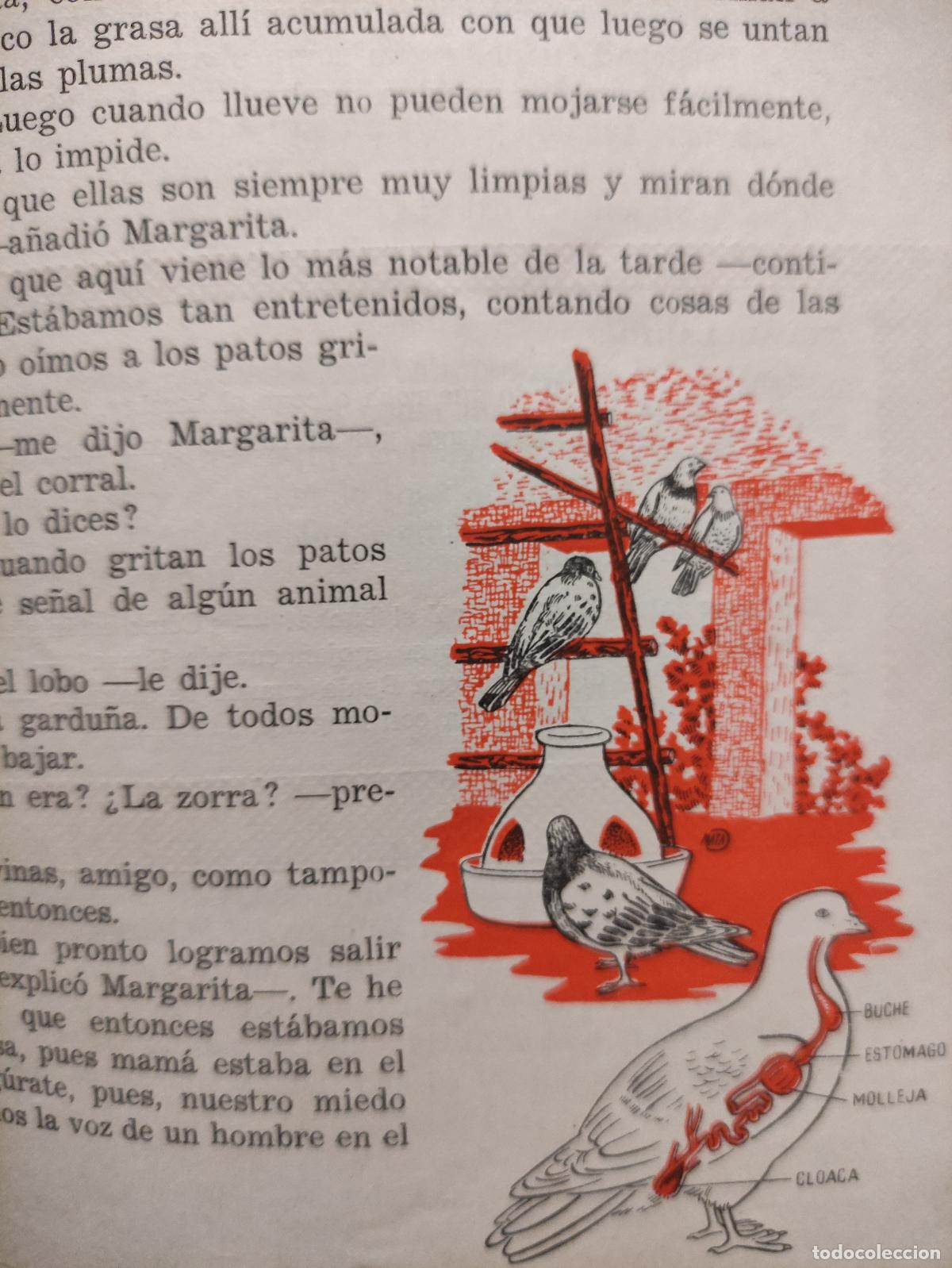 Libros: CHICOS Y COSAS - Foto 2