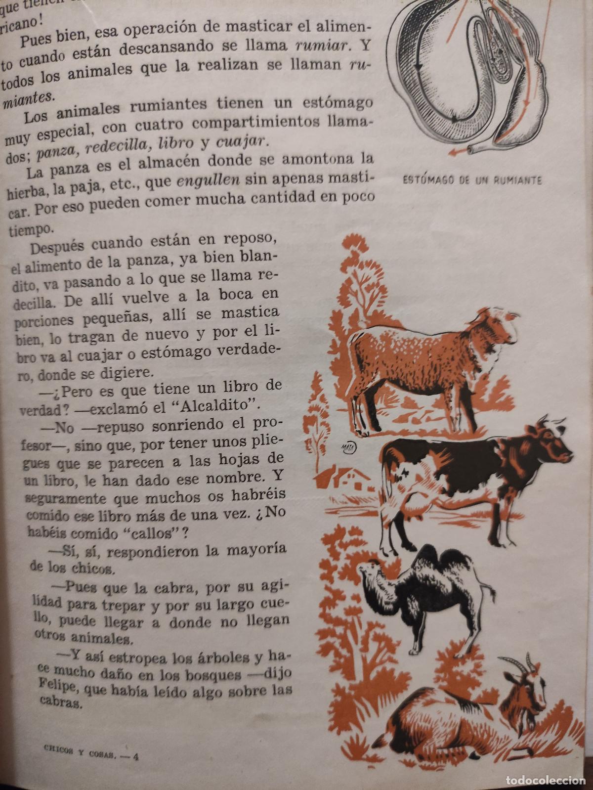 Libros: CHICOS Y COSAS - Foto 3
