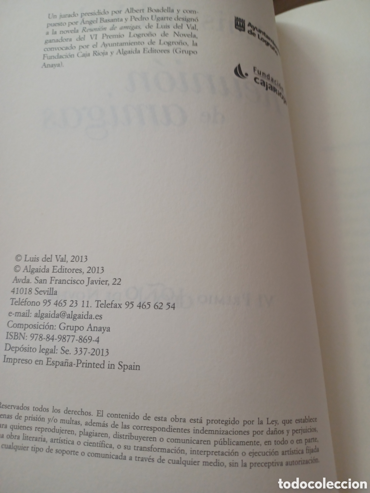 Libros: Barybook C9. Reunion de Amigas Luis del Val edita Algaida - Foto 4