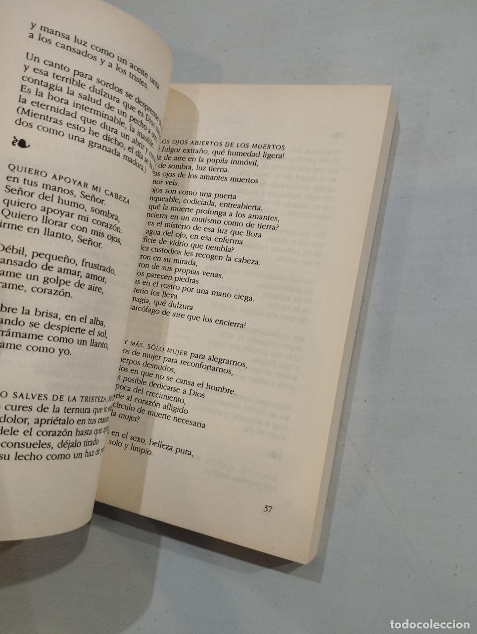 Libros: Jaime Sabines - Recuento de poemas 1950/1993 - Foto 2