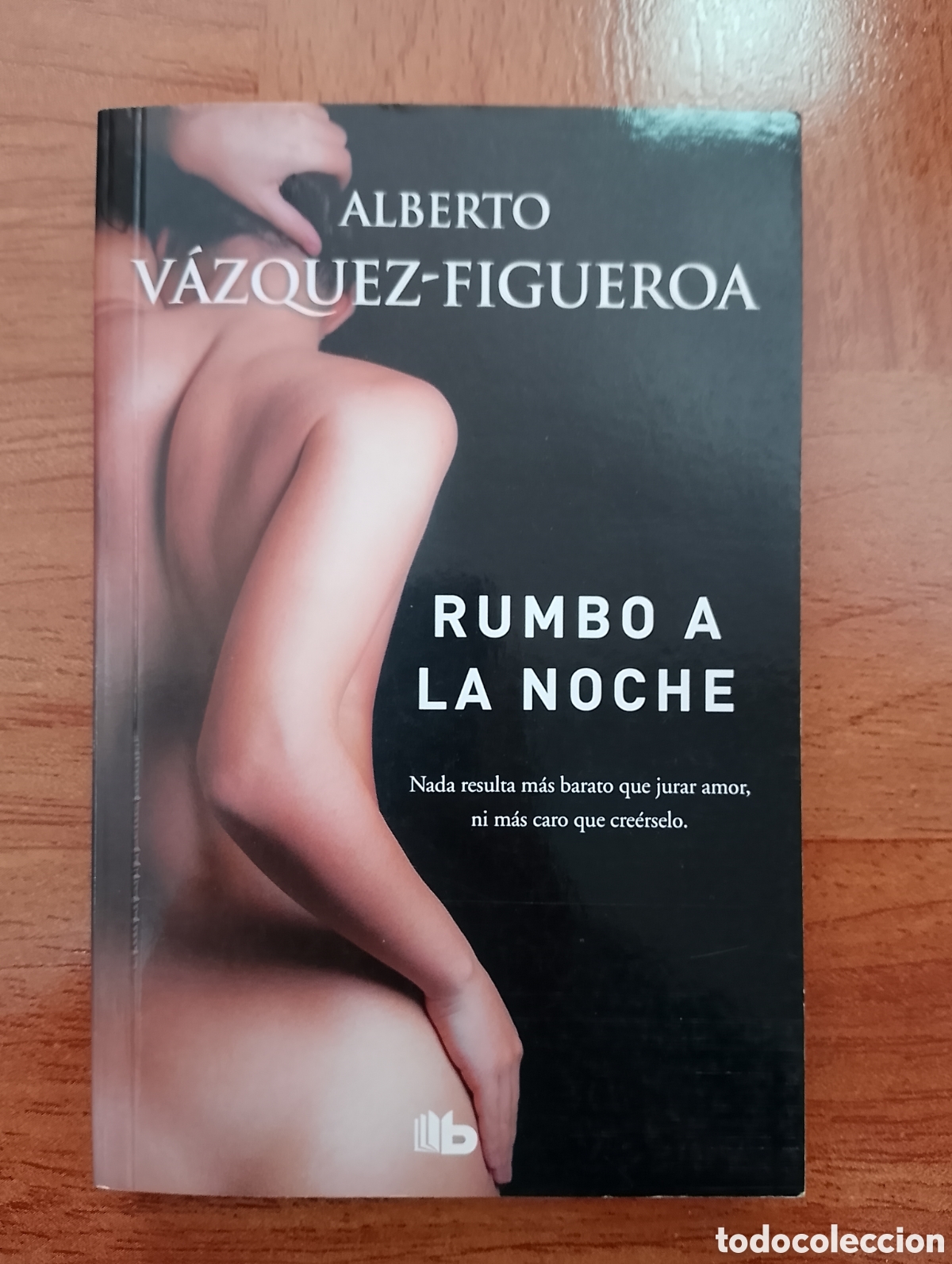 Libros: Rumbo a la noche - Alberto V&aacute;zquez-Figueroa - Foto 1