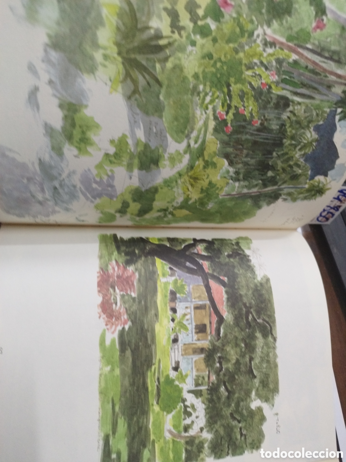 Libros: CARNET DE CROQUIS - BOULLAIRE,Jacqes - Foto 5