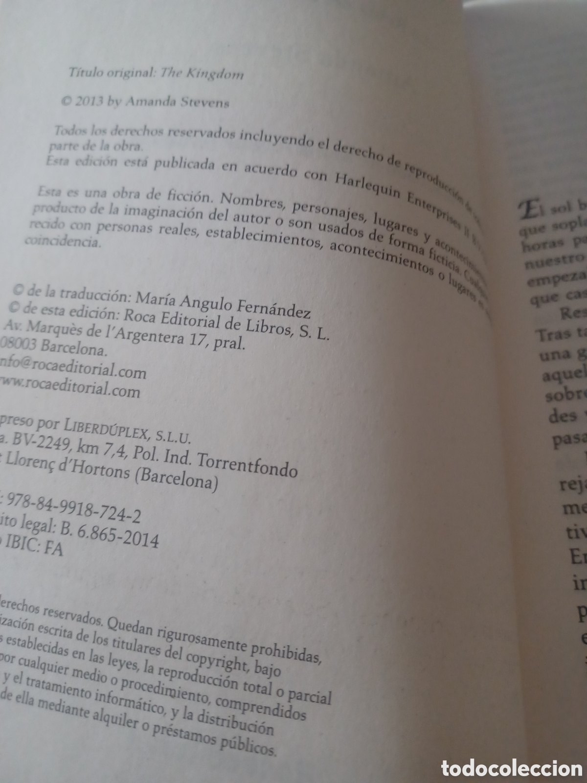 Libros: Barybook. C33. . El reino Amanda Stevens (roca - Foto 4