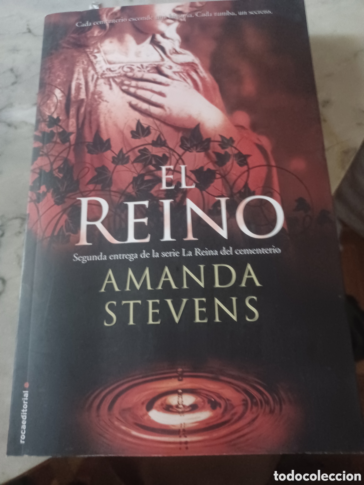 Libros: Barybook. C33. . El reino Amanda Stevens (roca - Foto 1