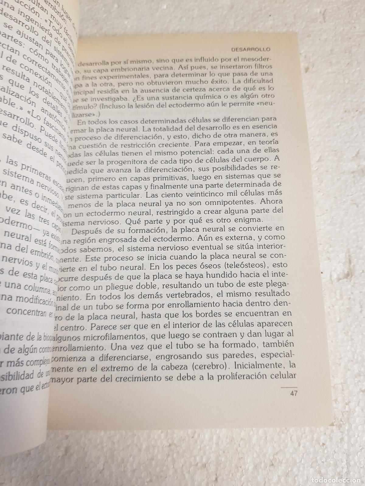 Libros: La mente (I) - Anthony Smith - Foto 3