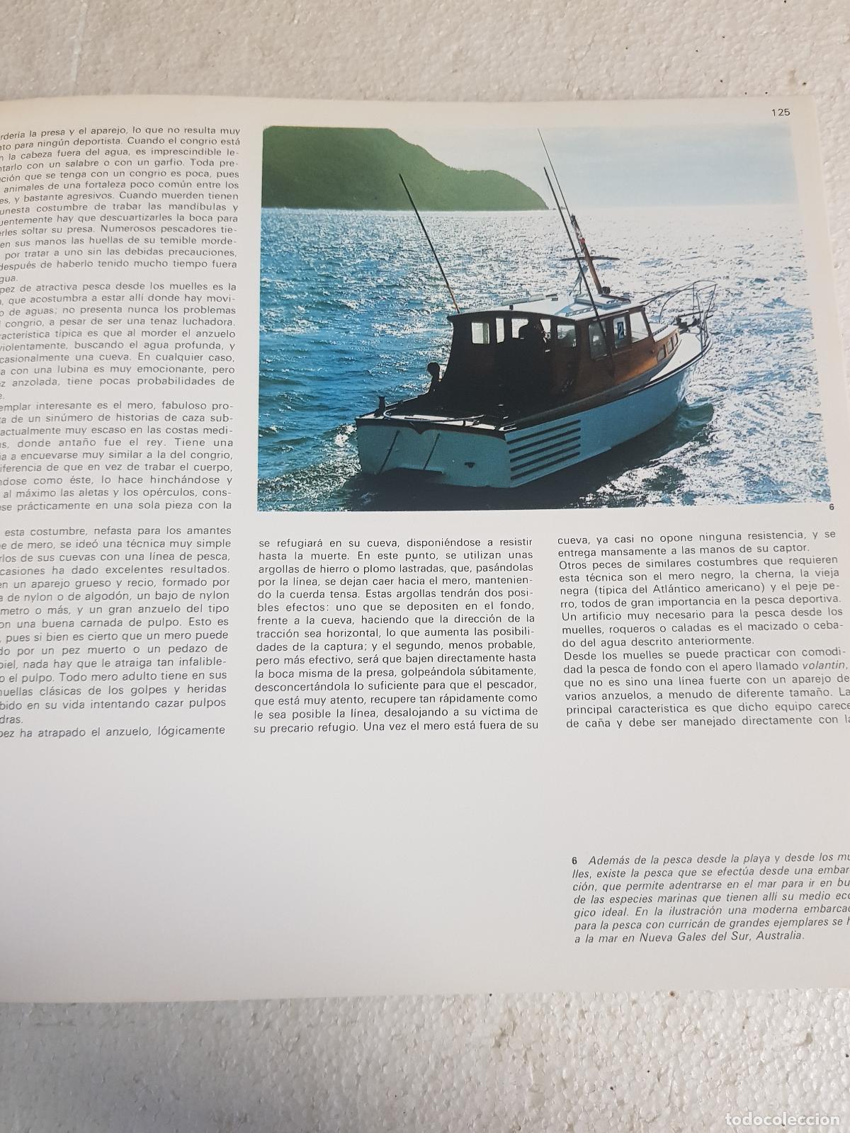 Libros: Albatros. Enciclppedia del mar Vol. 4 - Foto 4