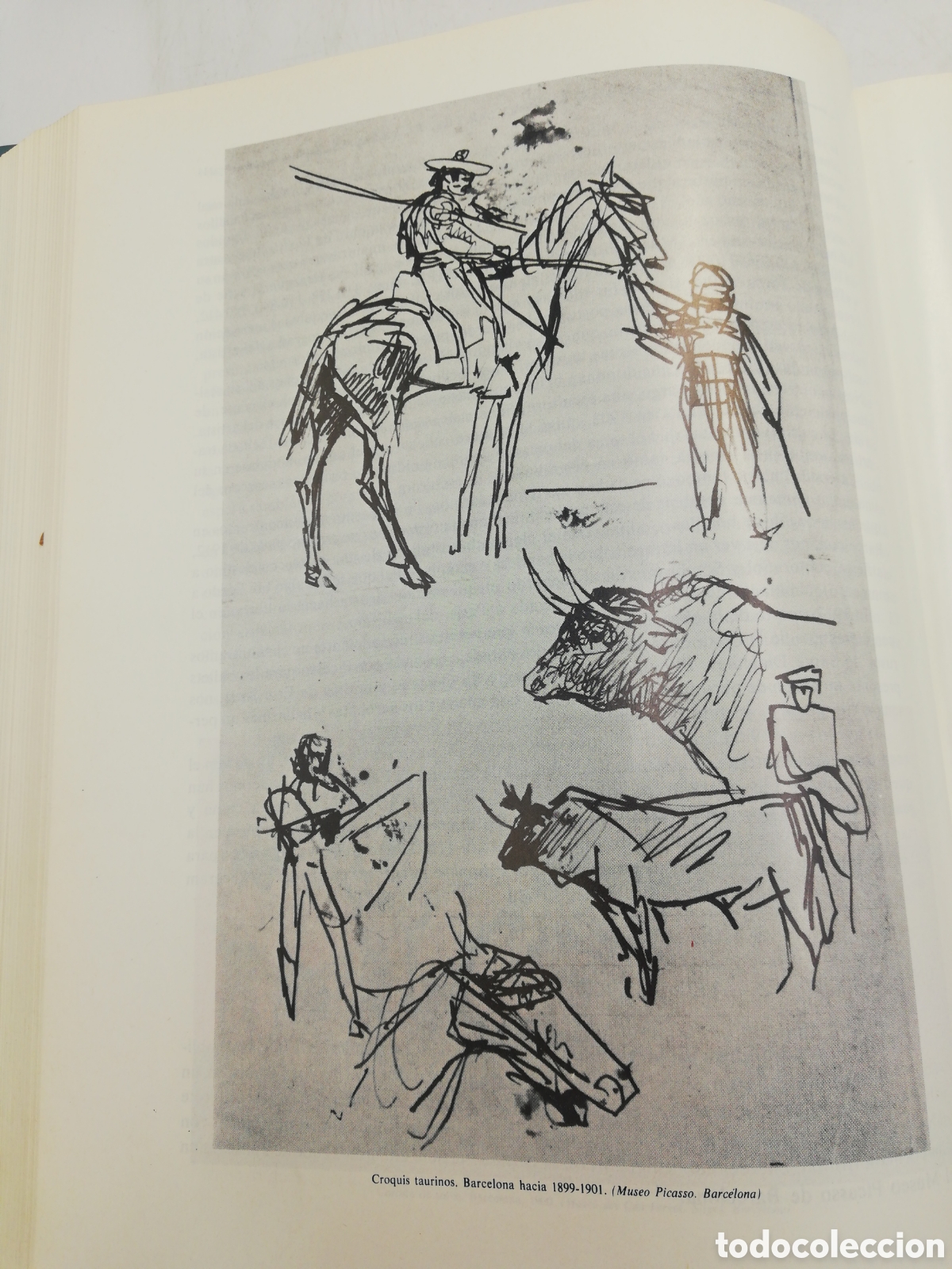 Libros: LOS TOROS: EL COSS&Iacute;O. ESPASA CALPE. TOMO 7. - Foto 7
