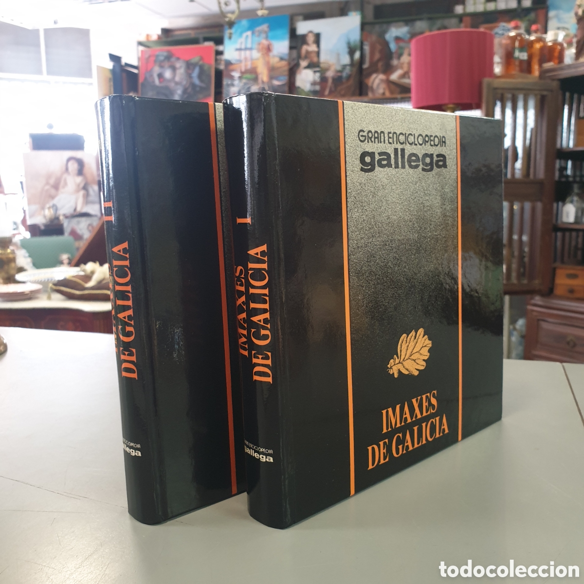 Libros: IMAXES DE GALICIA 2 VOLUMENES - Foto 1