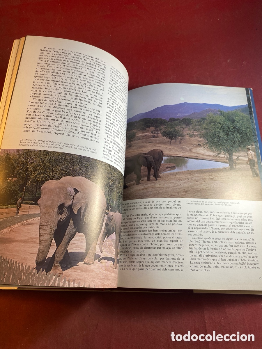 Libros: EL ZOO DE BARCELONA. Antoni Jonch i Cuspinera - Foto 3