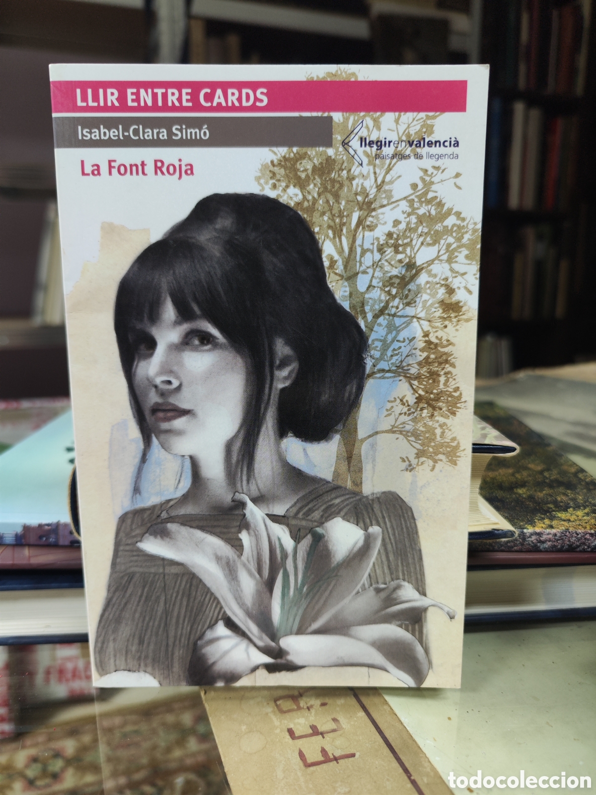 Libros: Llir entre cards. - Isabel-Clara Sim&oacute; - La Font Roja - Foto 1