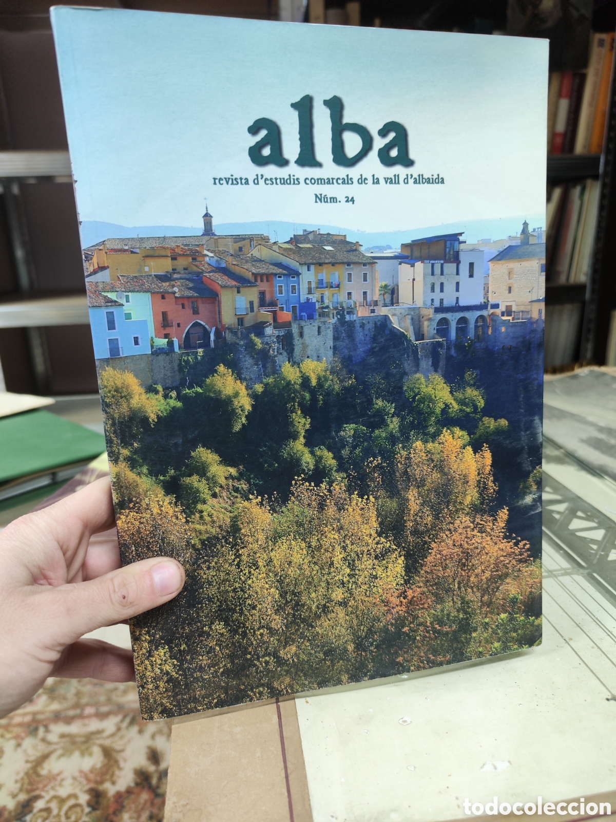 Libros: ALBA, REVISTA DESTUDIS COMARCALS DE LA VALL DALBAIDA - 24 - Foto 1