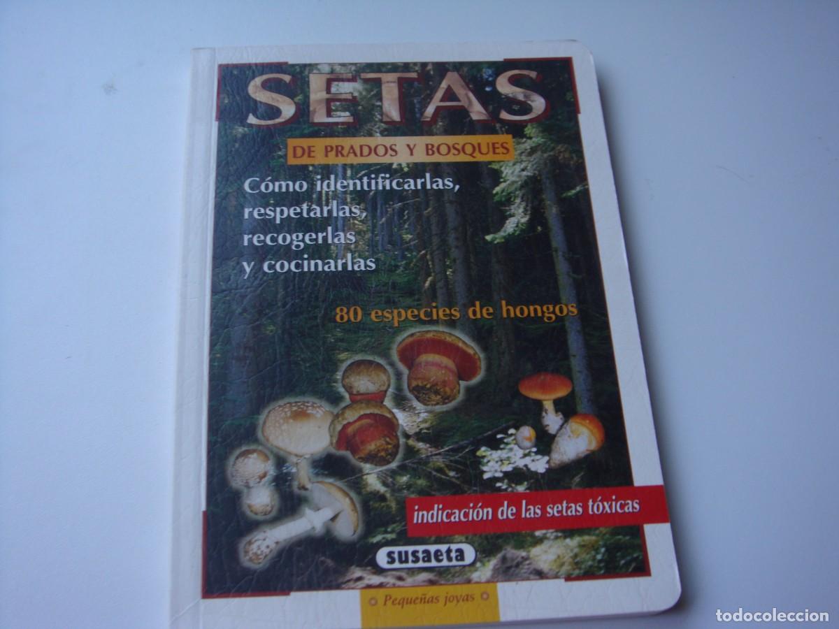 Libros: SETAS DE PRADOS Y BOSQUE SUSAETA - Foto 1
