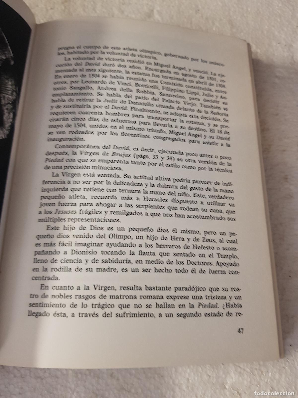 Libros: Miguel Angel - Ren&eacute;e arbour - Foto 3