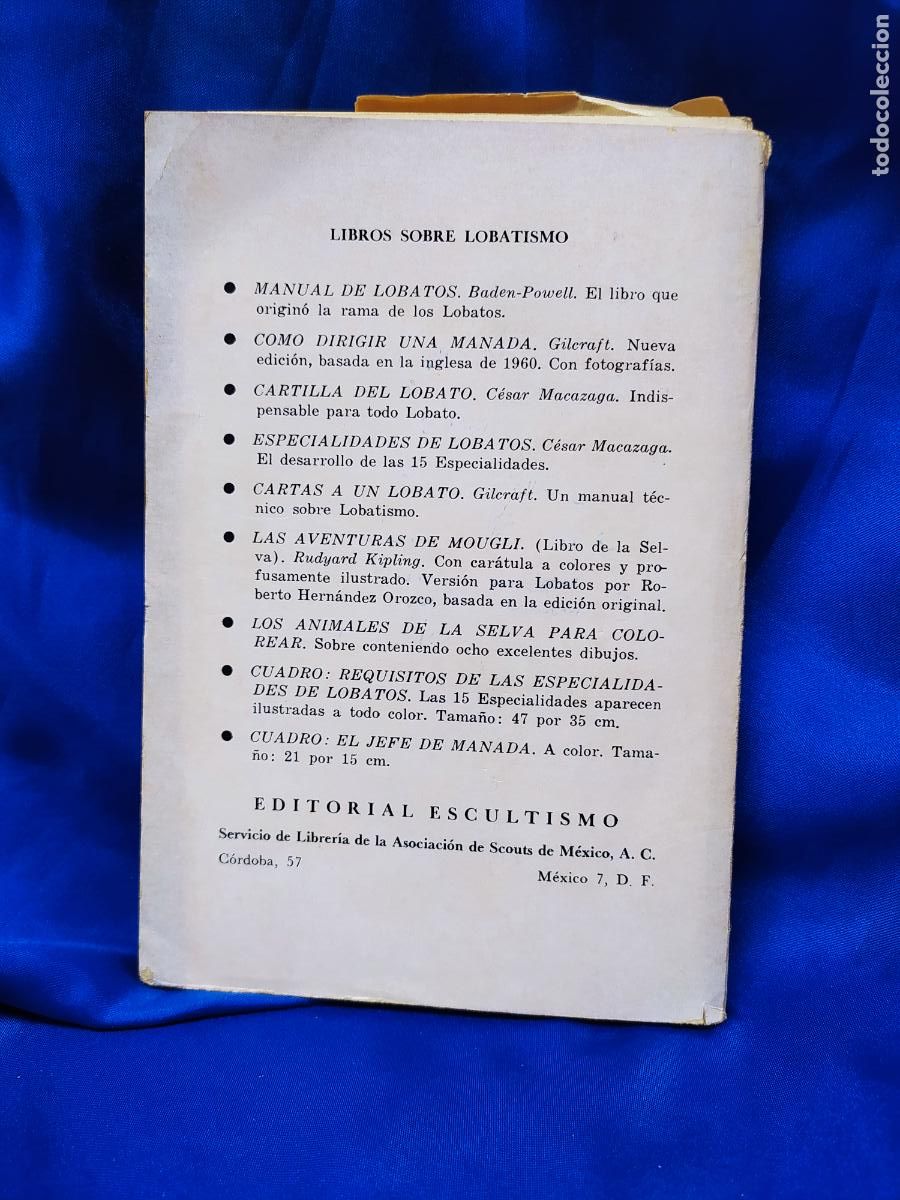 Libros: GILCRAFT. Como dirigir una manada. - Foto 2