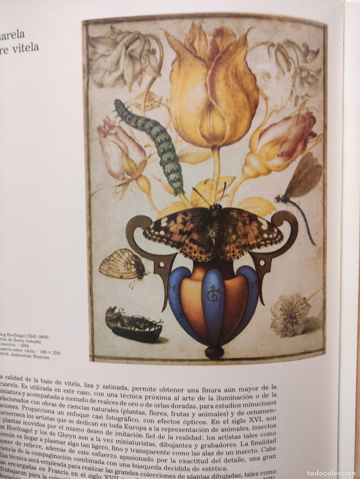 Libros: EL DIBUJO - HISTORIA DE UN ARTE - Foto 9