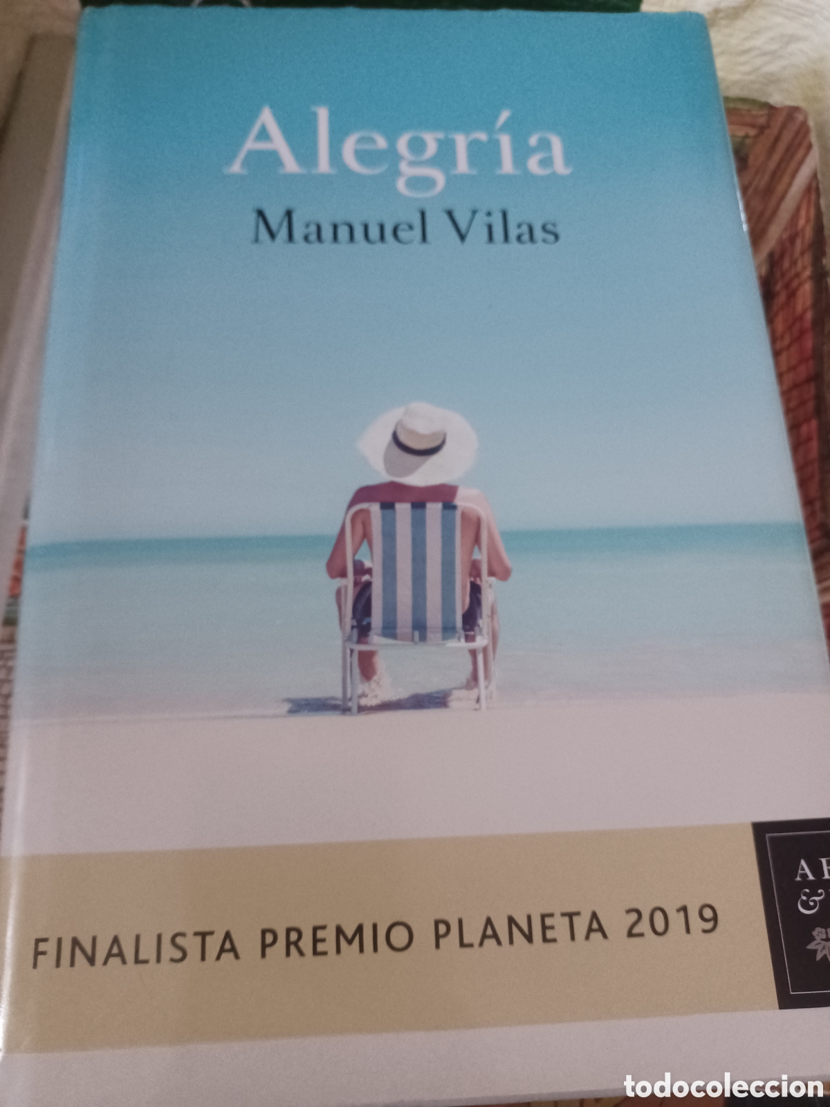 Libros: Barybook 71 B. . . Alegr&iacute;a Manuel Vilas planeta - Foto 1