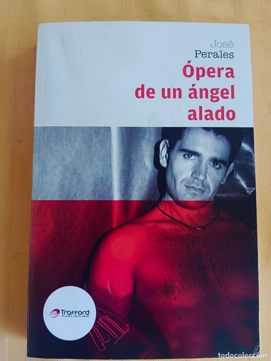 Libros: OPERA DE UN ANGEL ALADO - Jose Perales - Foto 1
