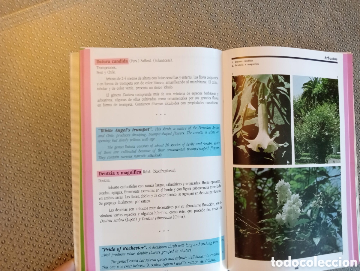 Libros: El parque de M&aacute;laga. Ayuntamiento de M&aacute;laga - Foto 3