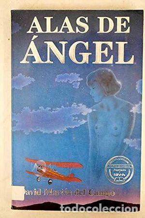 Libros: ALAS DE &Aacute;NGEL - DAVID MART&Iacute;N DEL CAMPO - Foto 1