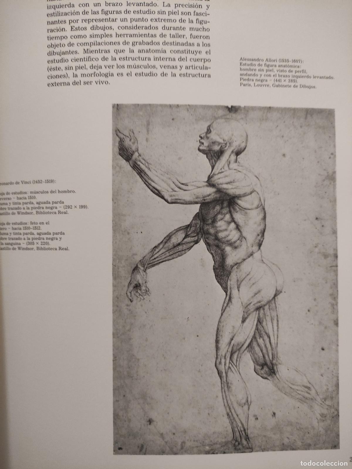 Libros: EL DIBUJO - HISTORIA DE UN ARTE - Foto 8
