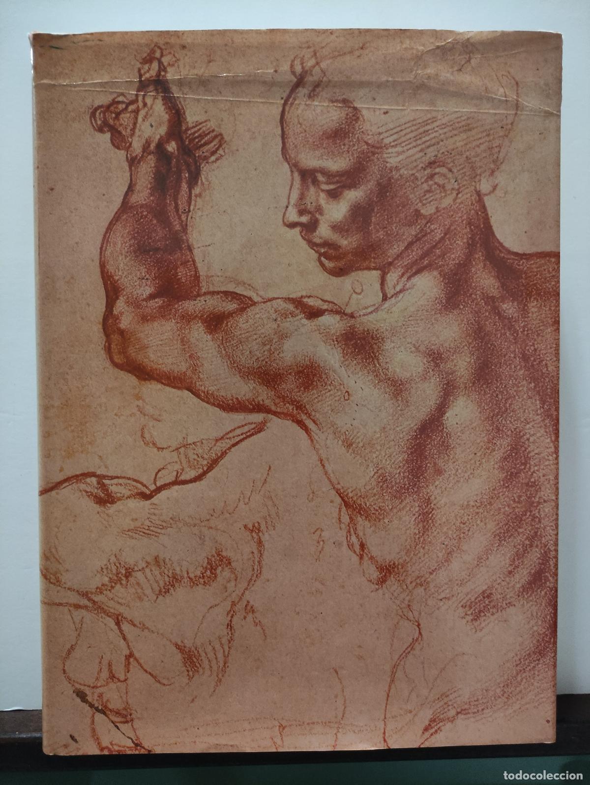 Libros: EL DIBUJO - HISTORIA DE UN ARTE - Foto 1