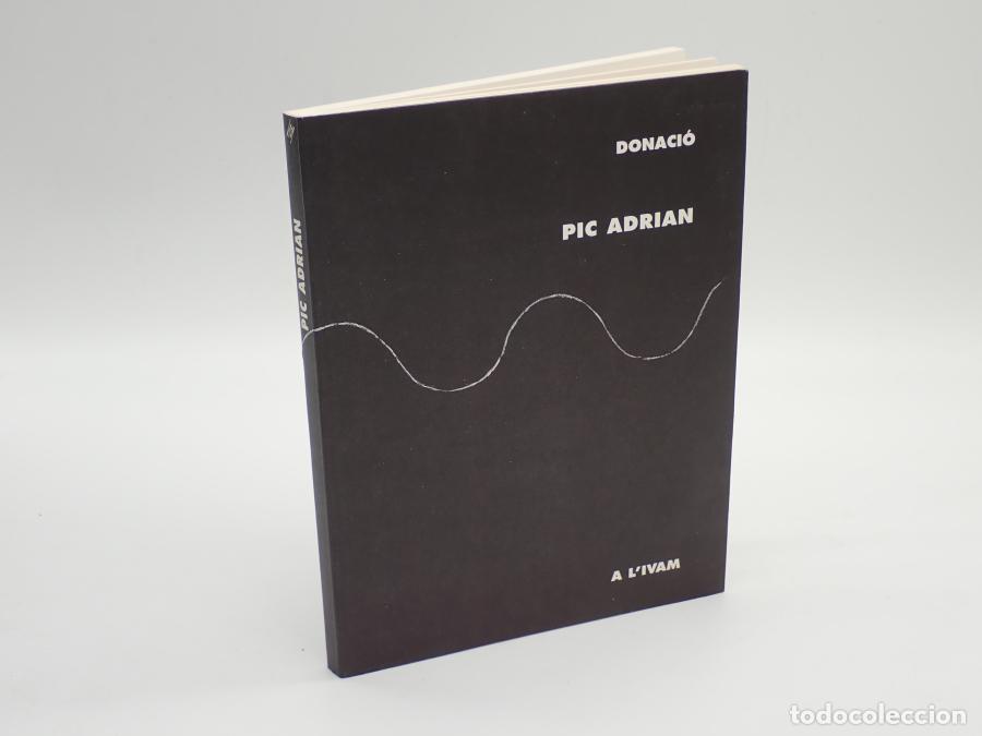 Libros: Pic Adrian. Donaci&oacute; a lIVAM - Maria Llu&iuml;sa Borr&agrave;s - Foto 1