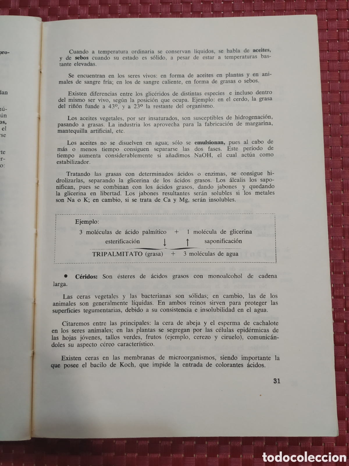 Libros: Biolog&iacute;a. Curso de orientaci&oacute;n universitaria - Foto 2