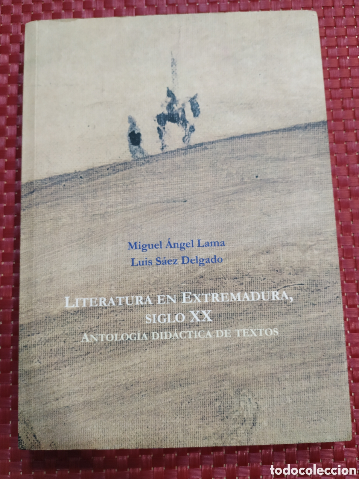 Libros: LITERATURA EN EXTREMADURA, SIGLO XX. MIGUEL &Aacute;NGEL LAMA LUIS S&Aacute;EZ DELGADO