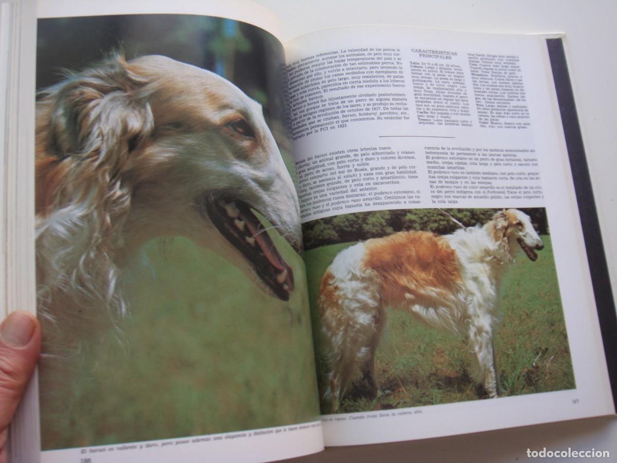 Libros: LOS PERROS DEL MUNDO EDICIONES URBION - Foto 2