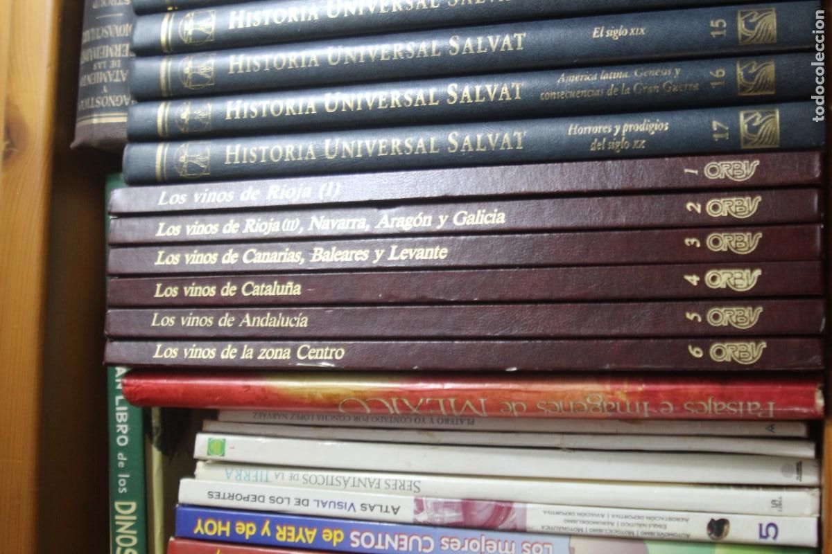 Libros: 6 TOMOS DE LOS VINOS ORBIS - Foto 2