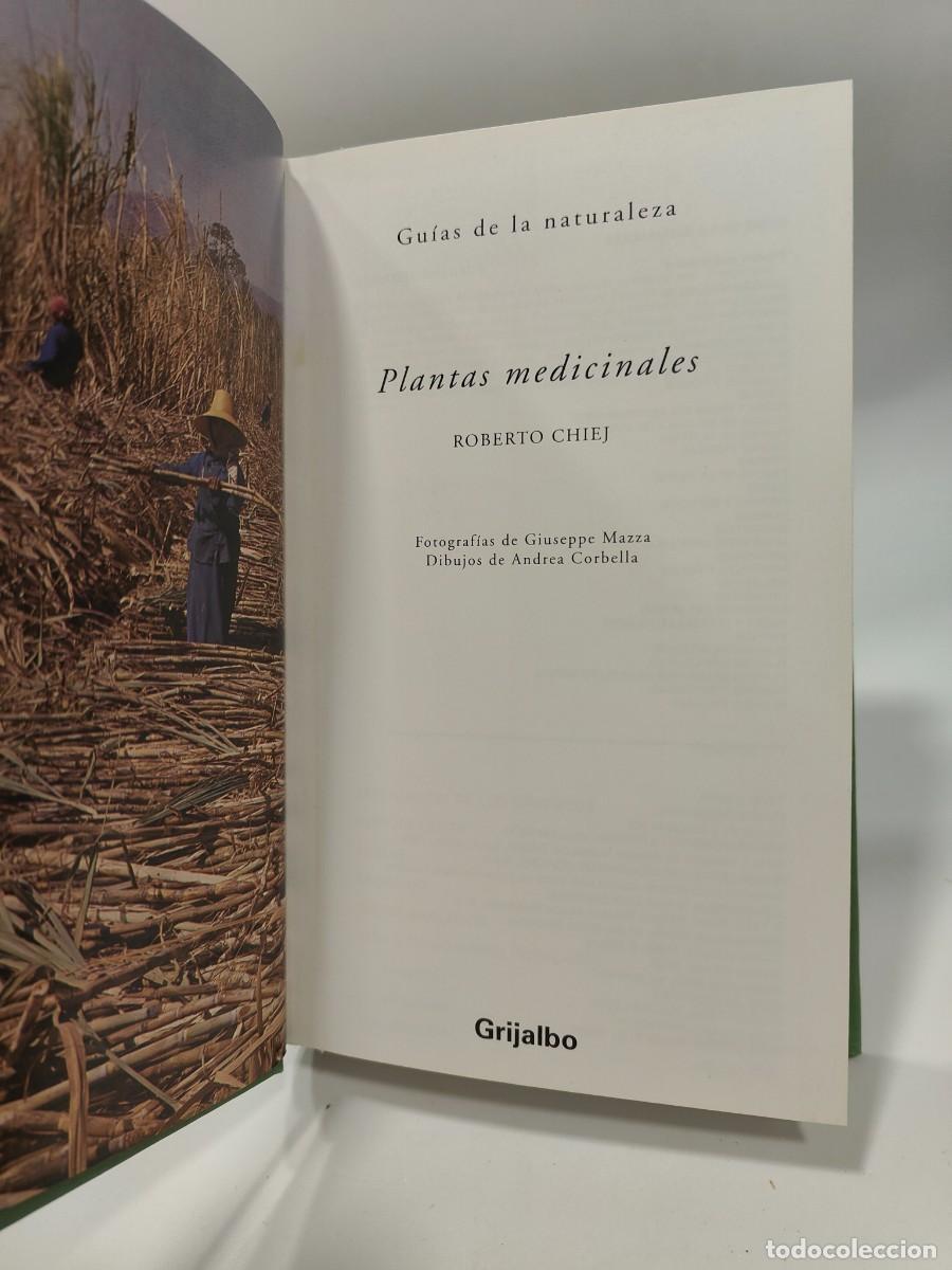 Libros: PLANTAS MEDICINALES - Roberto Chiej - Foto 6