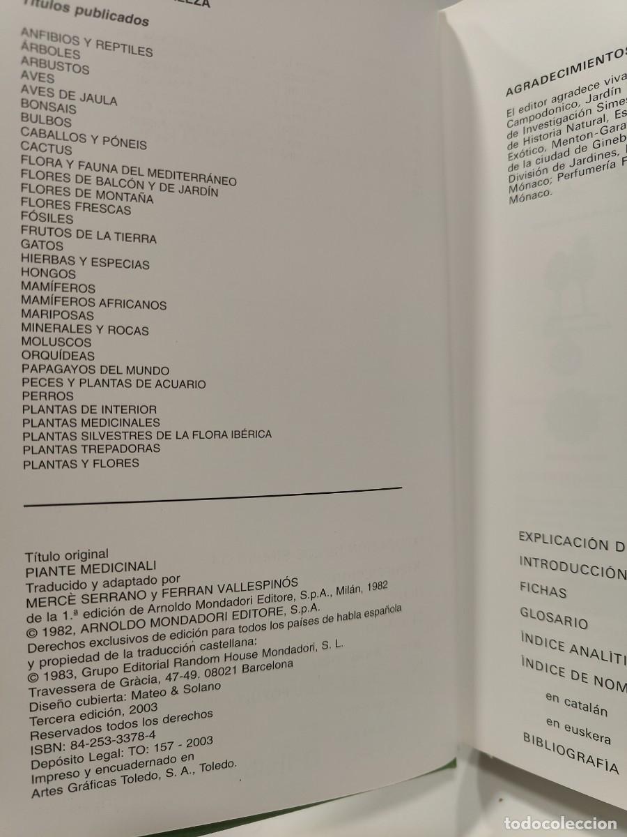 Libros: PLANTAS MEDICINALES - Roberto Chiej - Foto 7