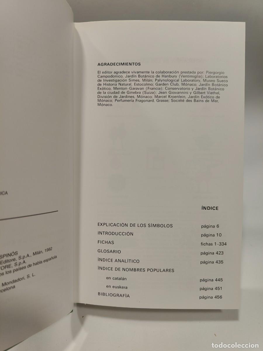 Libros: PLANTAS MEDICINALES - Roberto Chiej - Foto 8