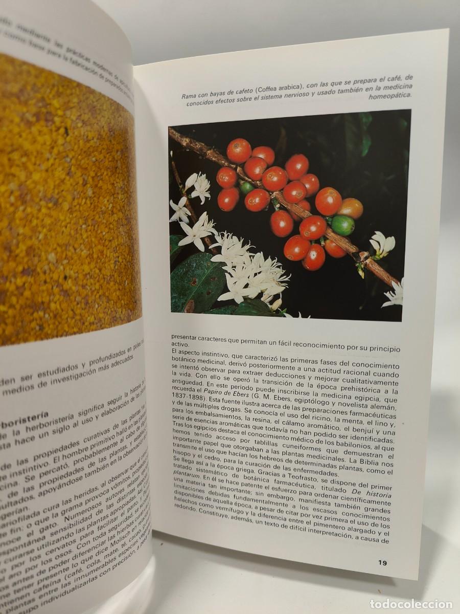 Libros: PLANTAS MEDICINALES - Roberto Chiej - Foto 10