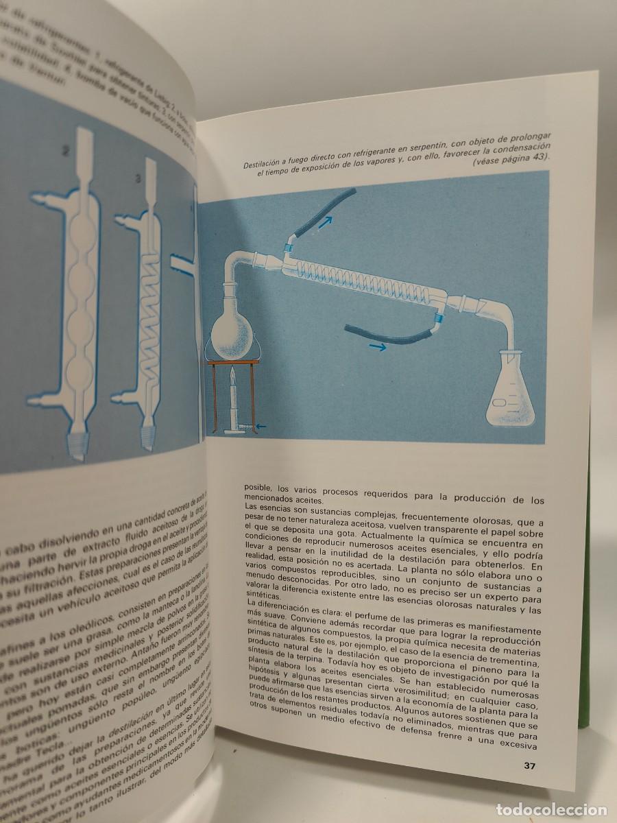 Libros: PLANTAS MEDICINALES - Roberto Chiej - Foto 11