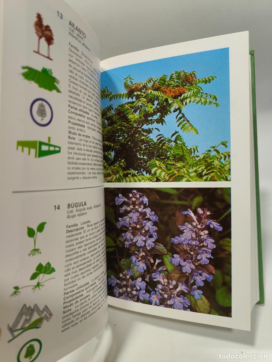 Libros: PLANTAS MEDICINALES - Roberto Chiej - Foto 12
