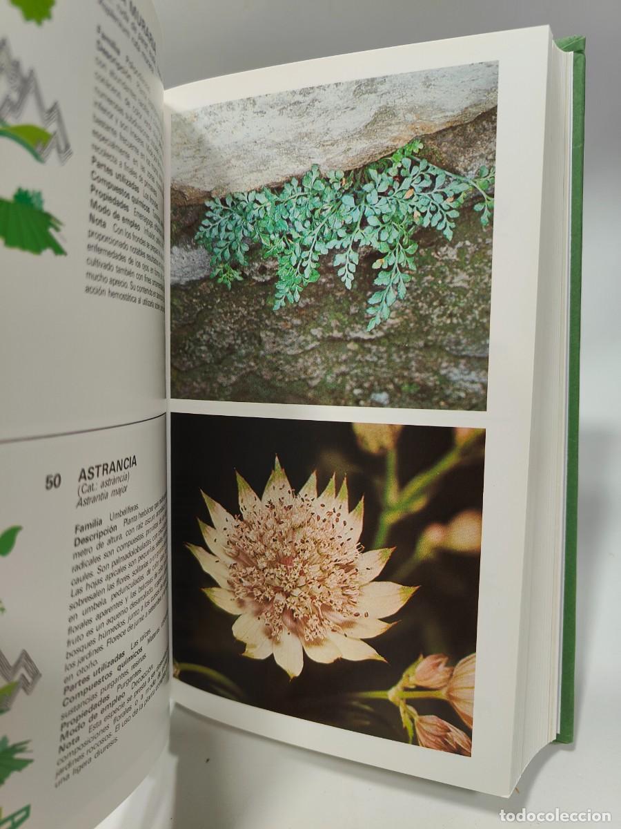 Libros: PLANTAS MEDICINALES - Roberto Chiej - Foto 13