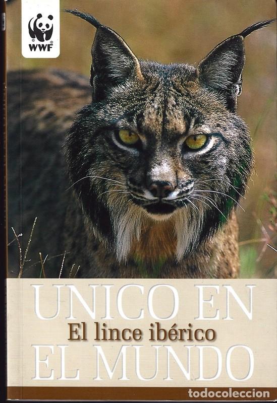 Libros: EL LINCE IB&Eacute;RICO UNICO EN EL MUNDO - Foto 1