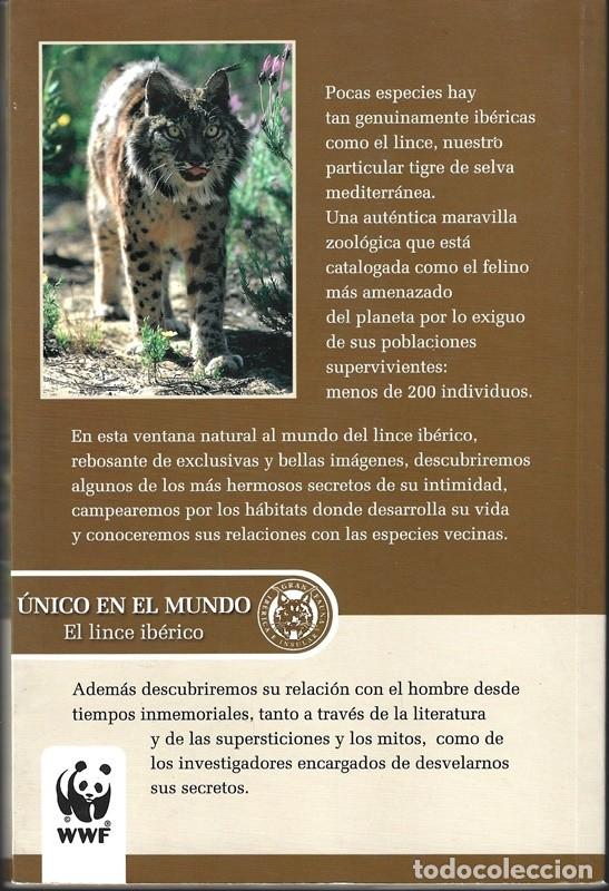 Libros: EL LINCE IB&Eacute;RICO UNICO EN EL MUNDO - Foto 2