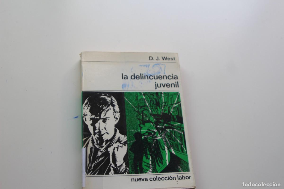 Libros: LA DELINCUENCIA JUVENIL EDITORIAL LABOR - Foto 1