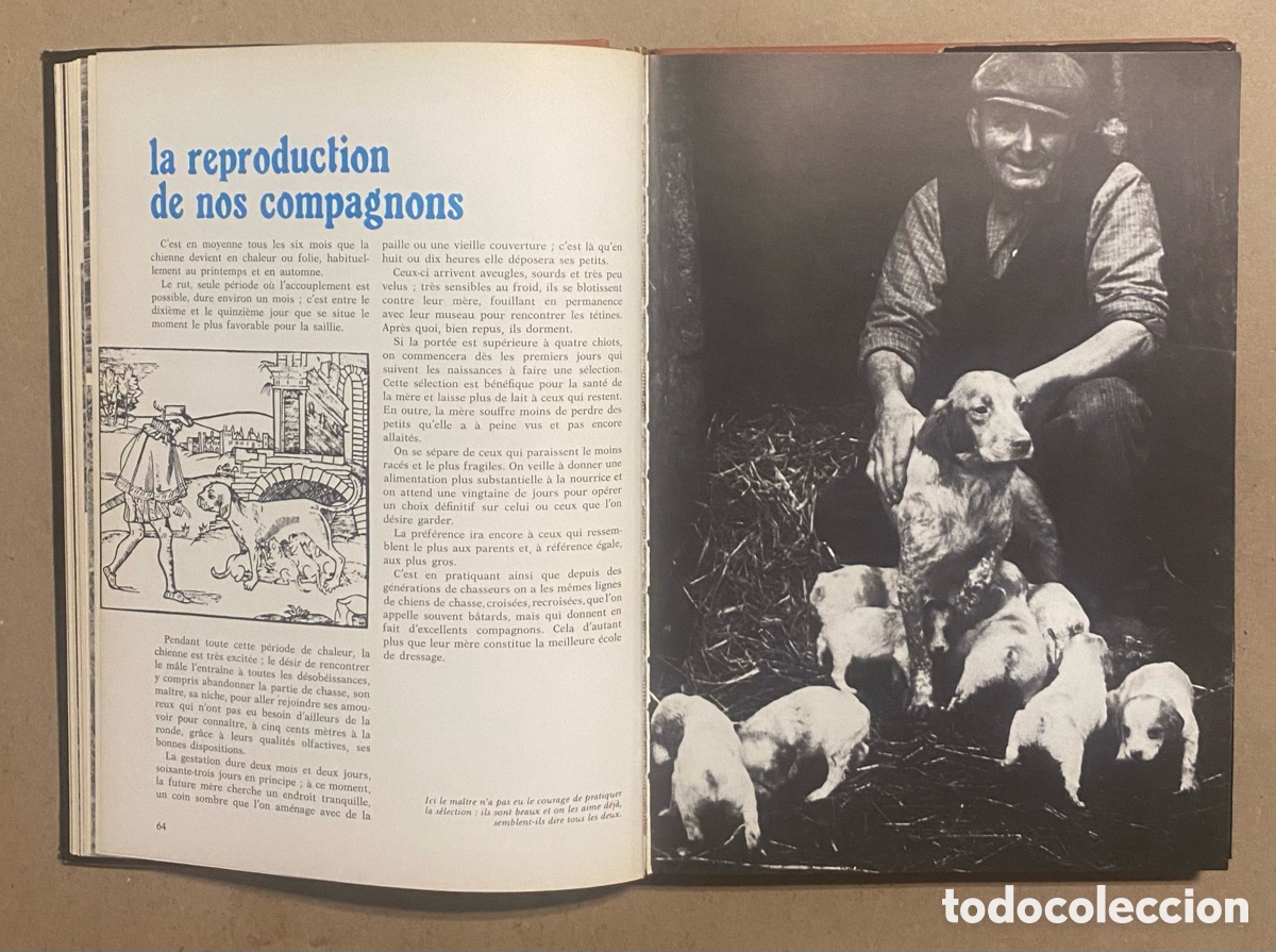 Libros: GUIDE DE LA CHASSE. MARCEL ROUCAUTE. &Eacute;DITIONS DE LA COURTILLE 1973. - Foto 5