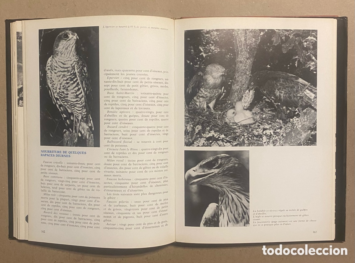 Libros: GUIDE DE LA CHASSE. MARCEL ROUCAUTE. &Eacute;DITIONS DE LA COURTILLE 1973. - Foto 8