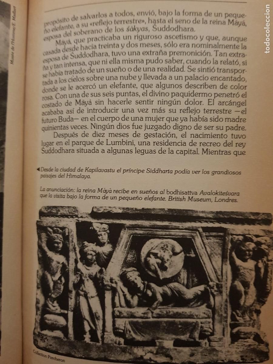 Libros: BUDA - MAURICE PERCHERON - ED. SALVAT - 1988 (ILUST) - Foto 8