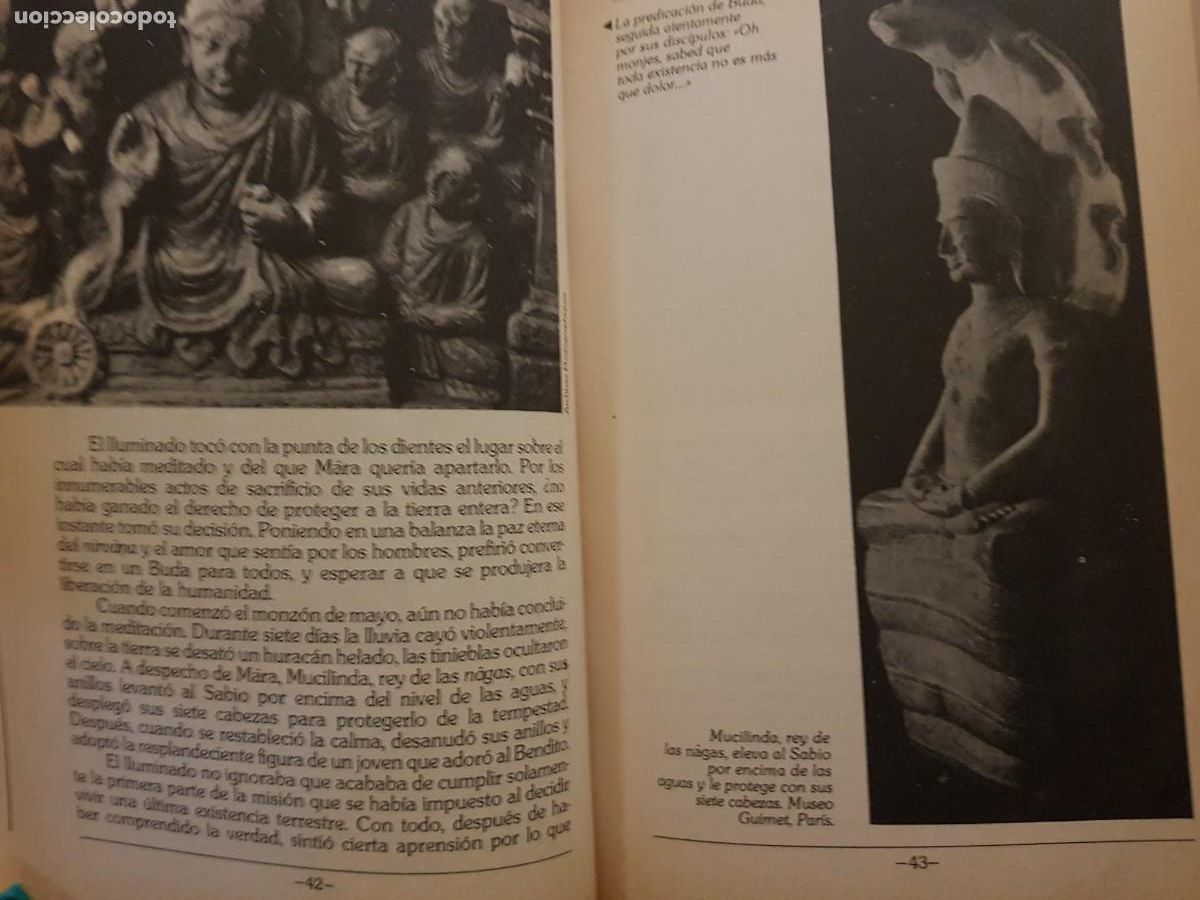 Libros: BUDA - MAURICE PERCHERON - ED. SALVAT - 1988 (ILUST) - Foto 9