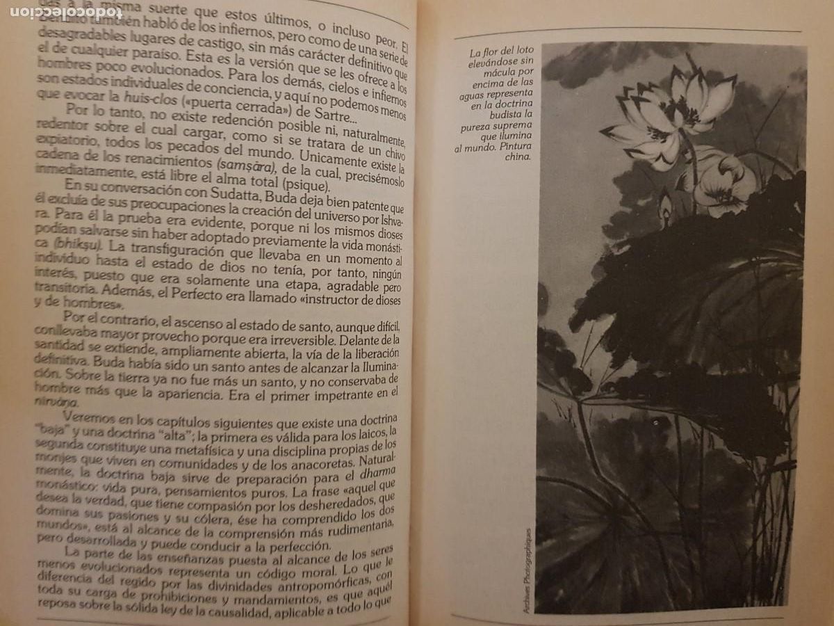 Libros: BUDA - MAURICE PERCHERON - ED. SALVAT - 1988 (ILUST) - Foto 11