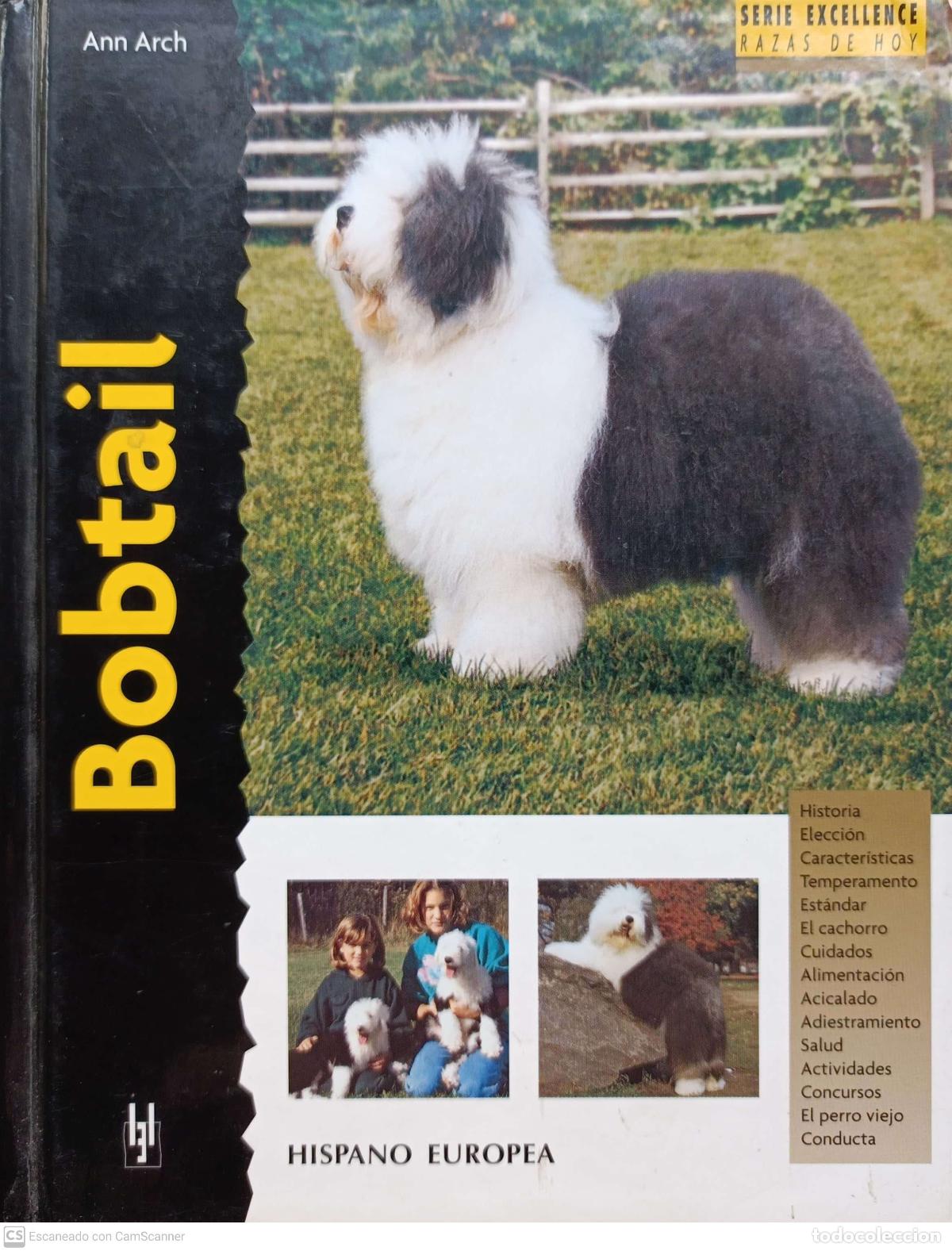 Libros: Bobtail - Ann Arch - Foto 1
