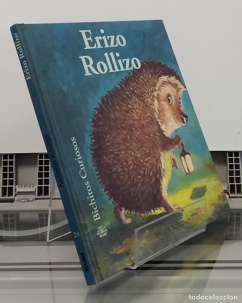 Libros: Erizo Rollizo (bichitos curiosos) - Antoon Krings - Foto 1