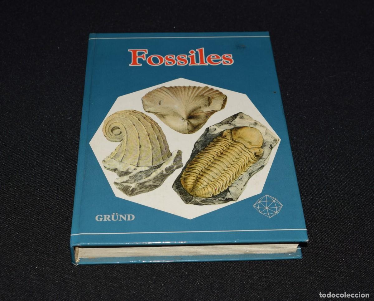Libros: Fossiles - 1981 - idioma Franc&eacute;s - Foto 1